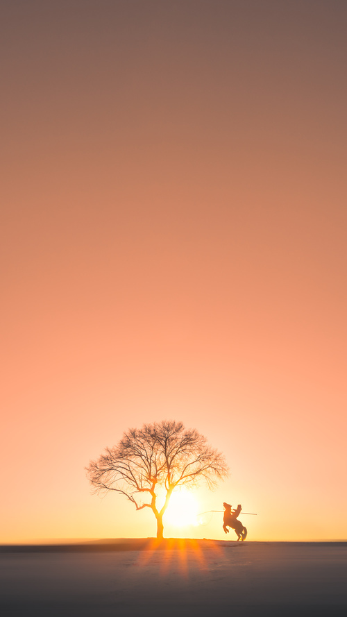 九游官网入口充值-CBA联赛打造多元文化球迷社区，cba企业文化