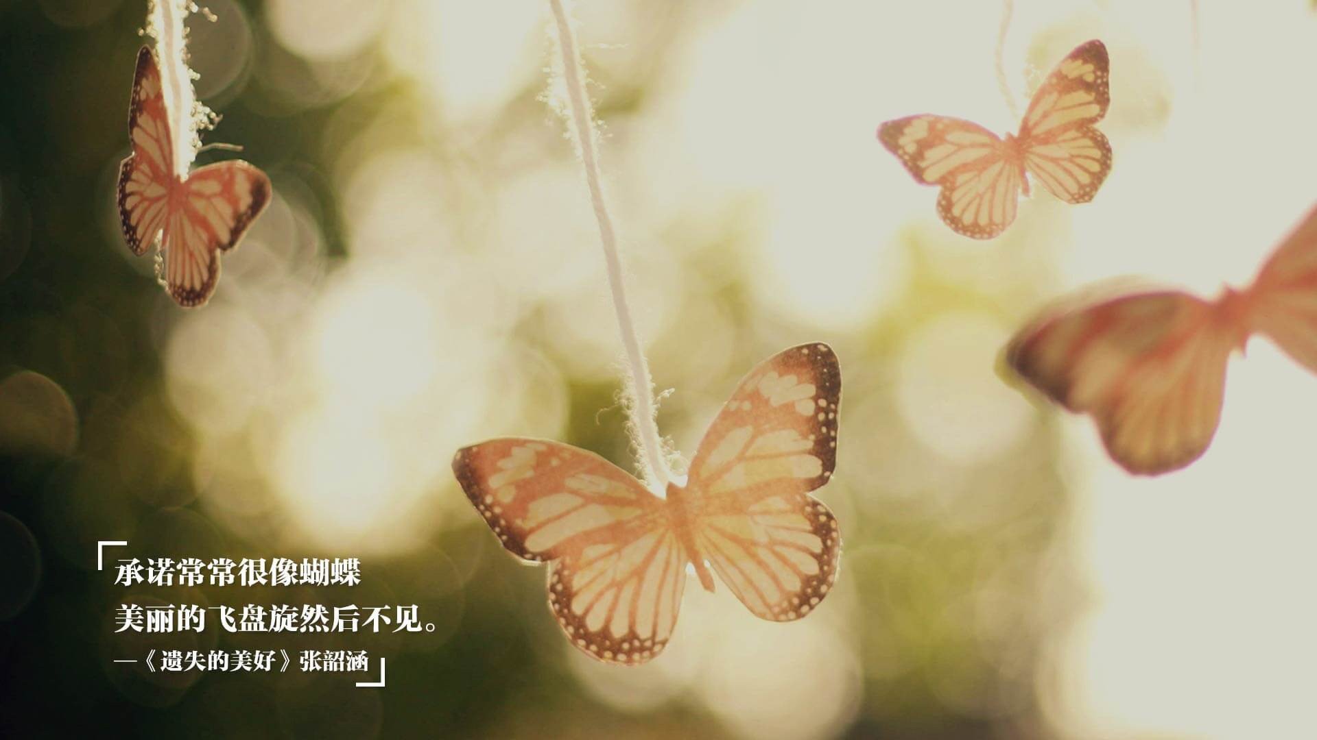 九游官网入口活动-中国女篮连续夺冠 目标更进一步，中国女篮夺冠概率