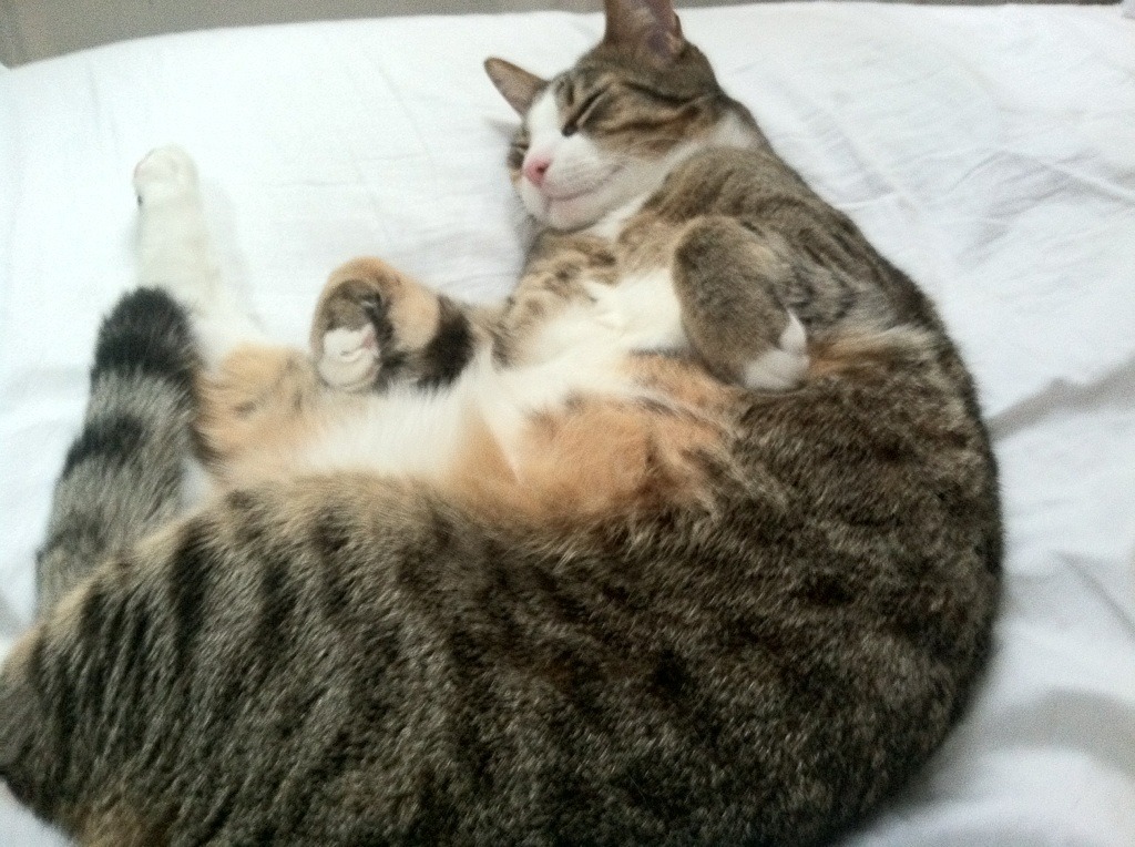 九游娱乐官方-中超裁判员交流计划提升判罚稳定性，中超裁判员一场多少钱