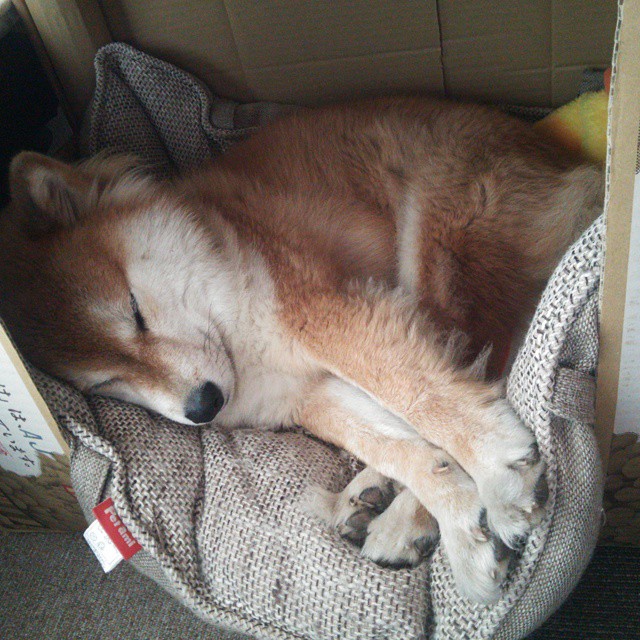 九游体育官网入口-本土教练战术系统缺乏国际化视角，本土教练怎么了