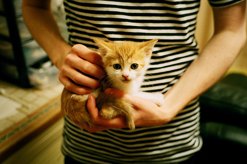 九游娱乐-进攻主导权是否逐渐由传统中场向影锋倾斜，进攻性中场