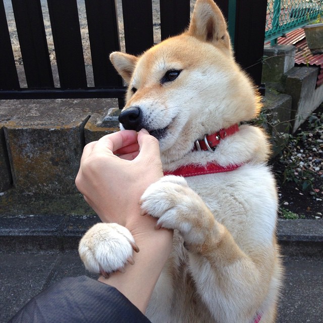 九游娱乐在线-马赛快速出球形成持续高压态势，马赛首发