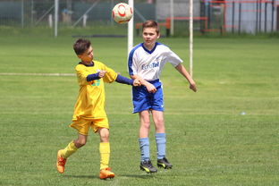 九游娱乐网站-塞尔维亚男篮在欧洲预赛中奋勇前进，冲击奥运荣耀，塞尔维亚男子足球队欧洲杯